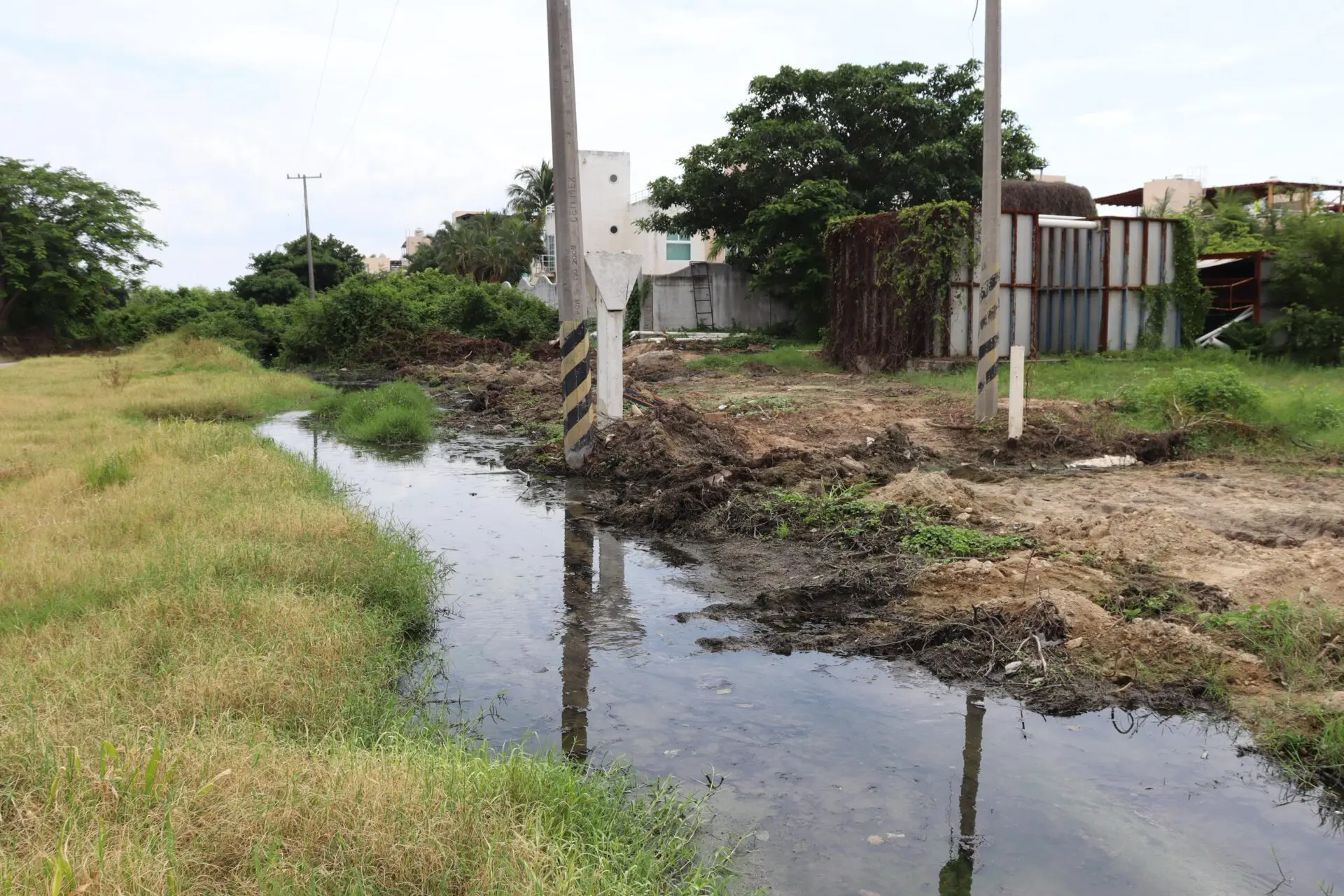 Denuncian ecocidio en la Laguna de Tres Palos - anews